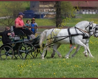 2POSIEUX 0246